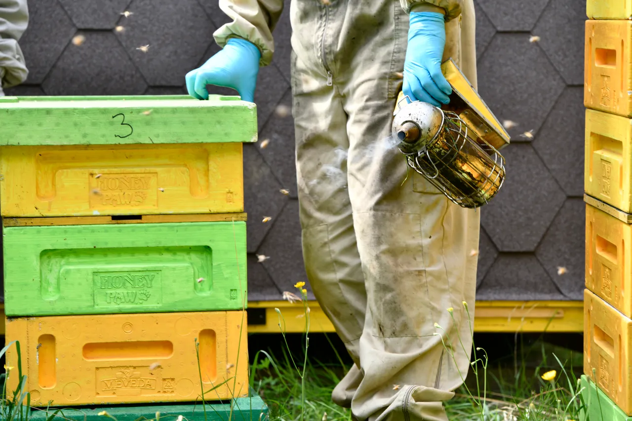 Beekeeper