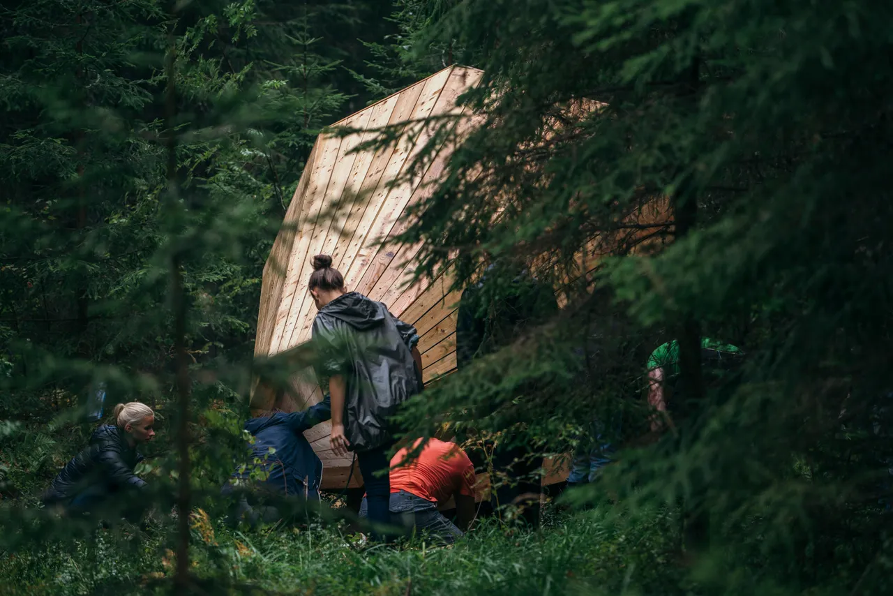 Forest megaphone installation