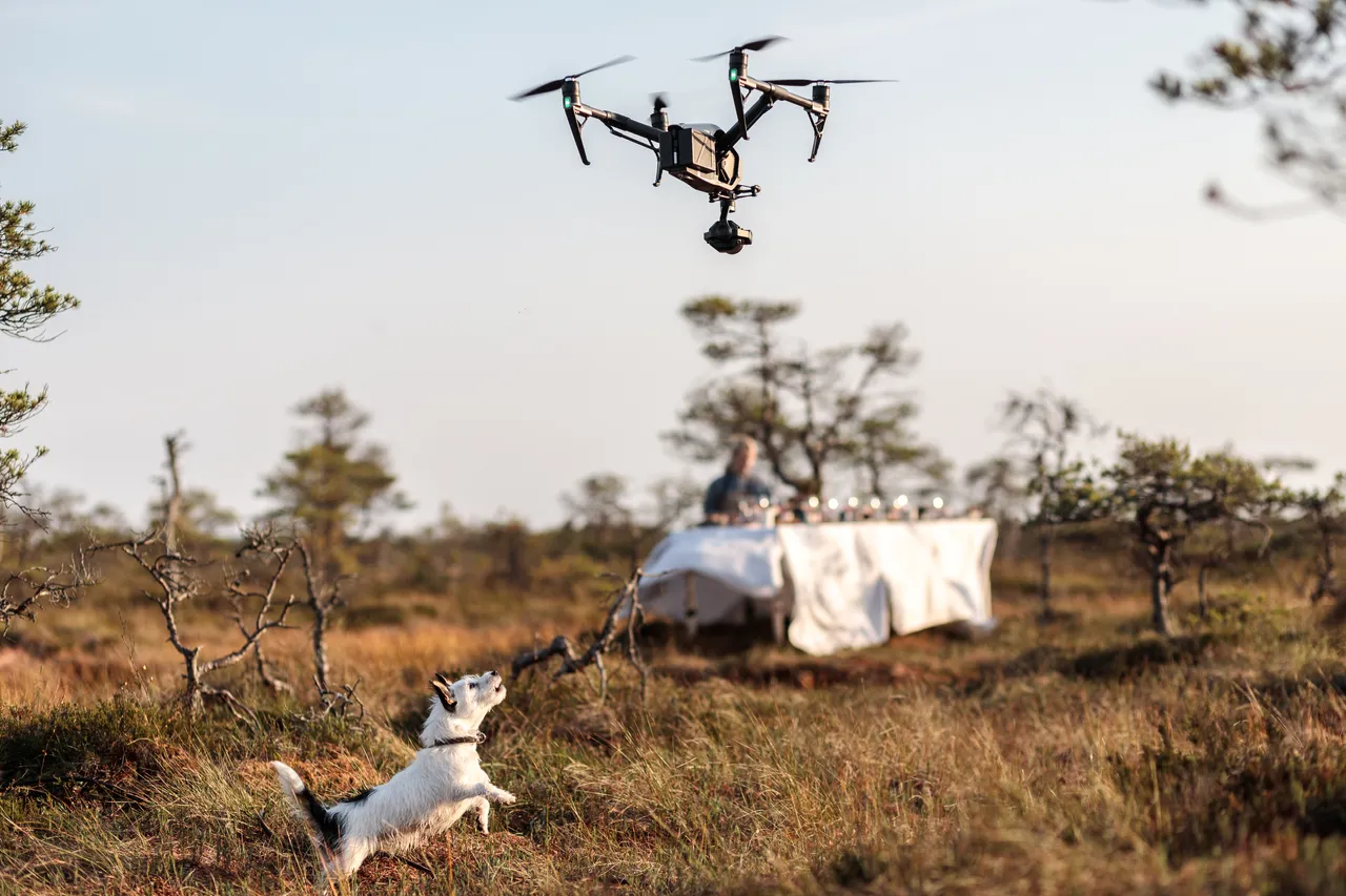 Making of Taste Estonia video in the bog