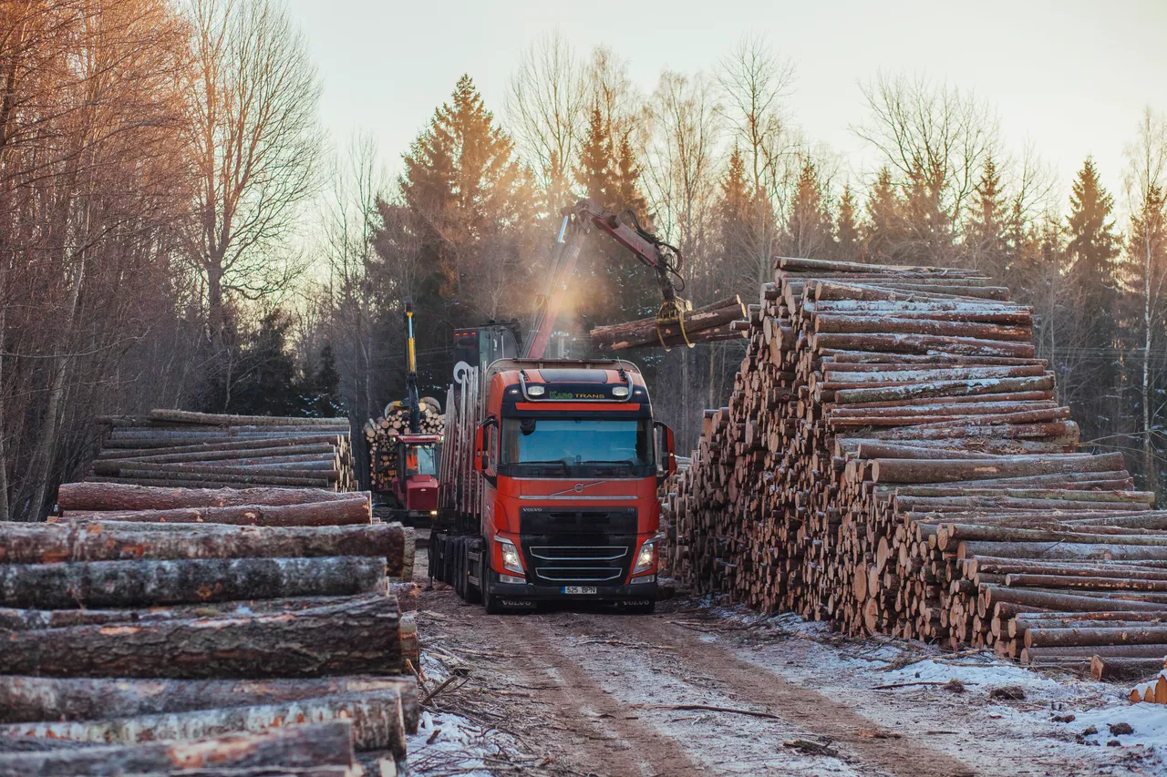 Work-based learning in forestry and timber industry