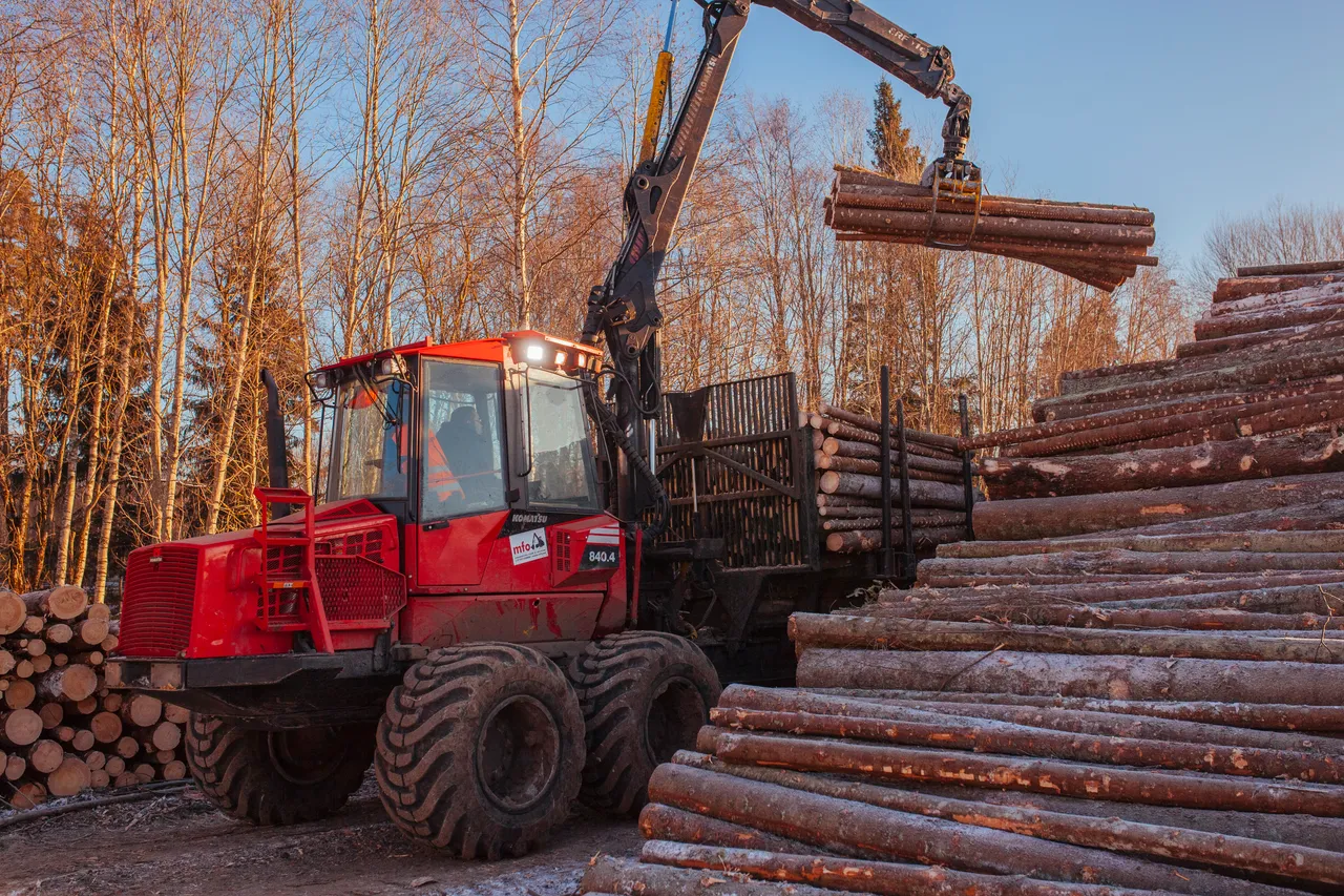 Forwarder loading logs