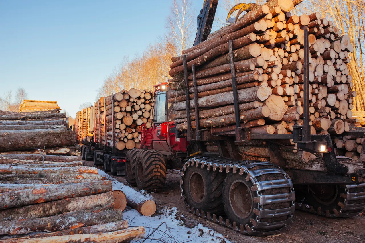 Forwarder loading logs