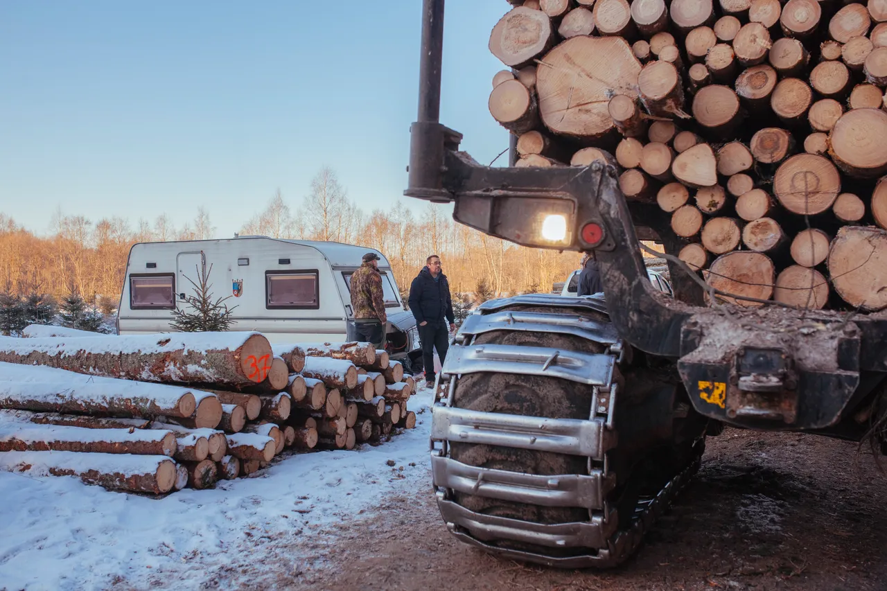 Forwarder loading logs