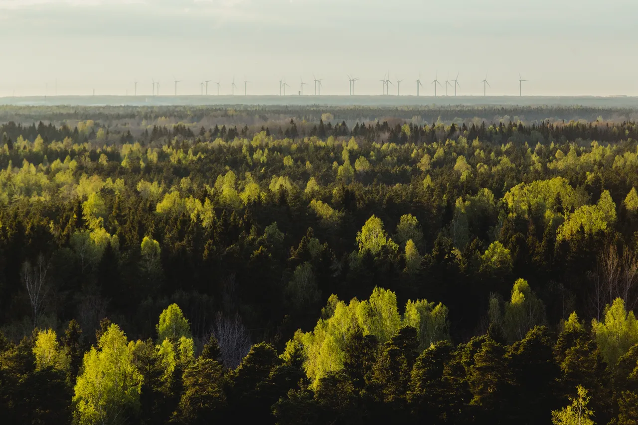 Views from Rummu quarry to the wind park of Pakri