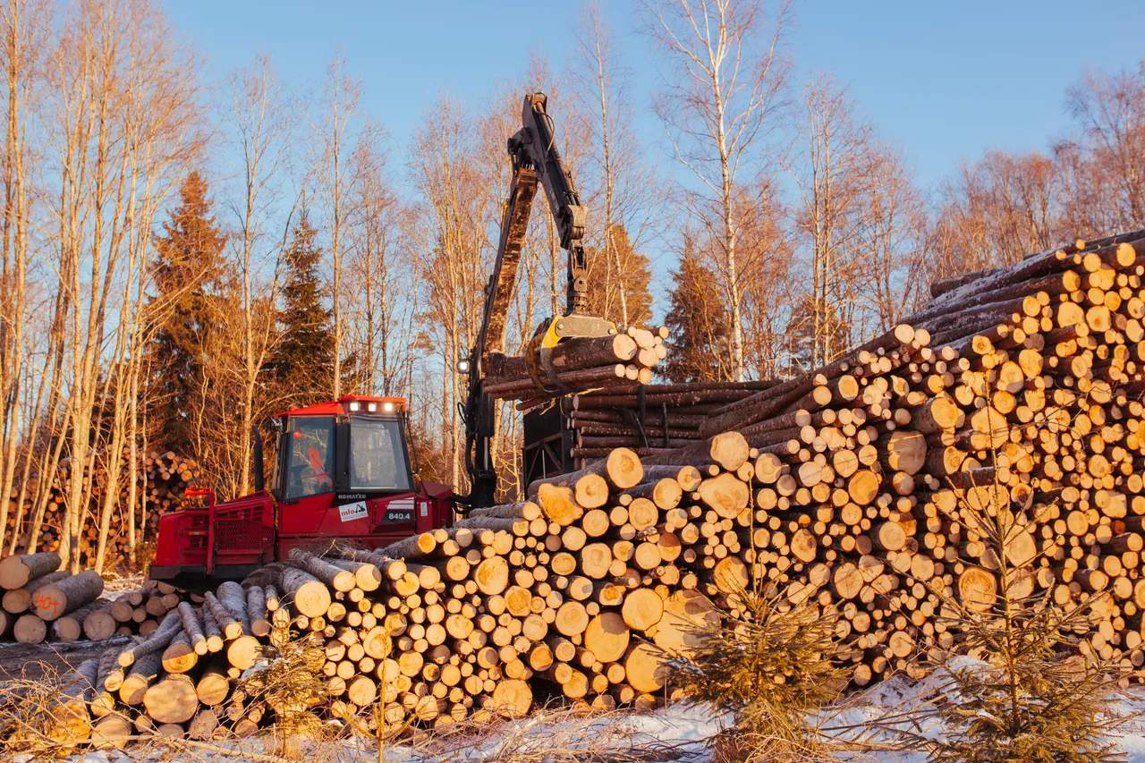 Forwarder loading logs