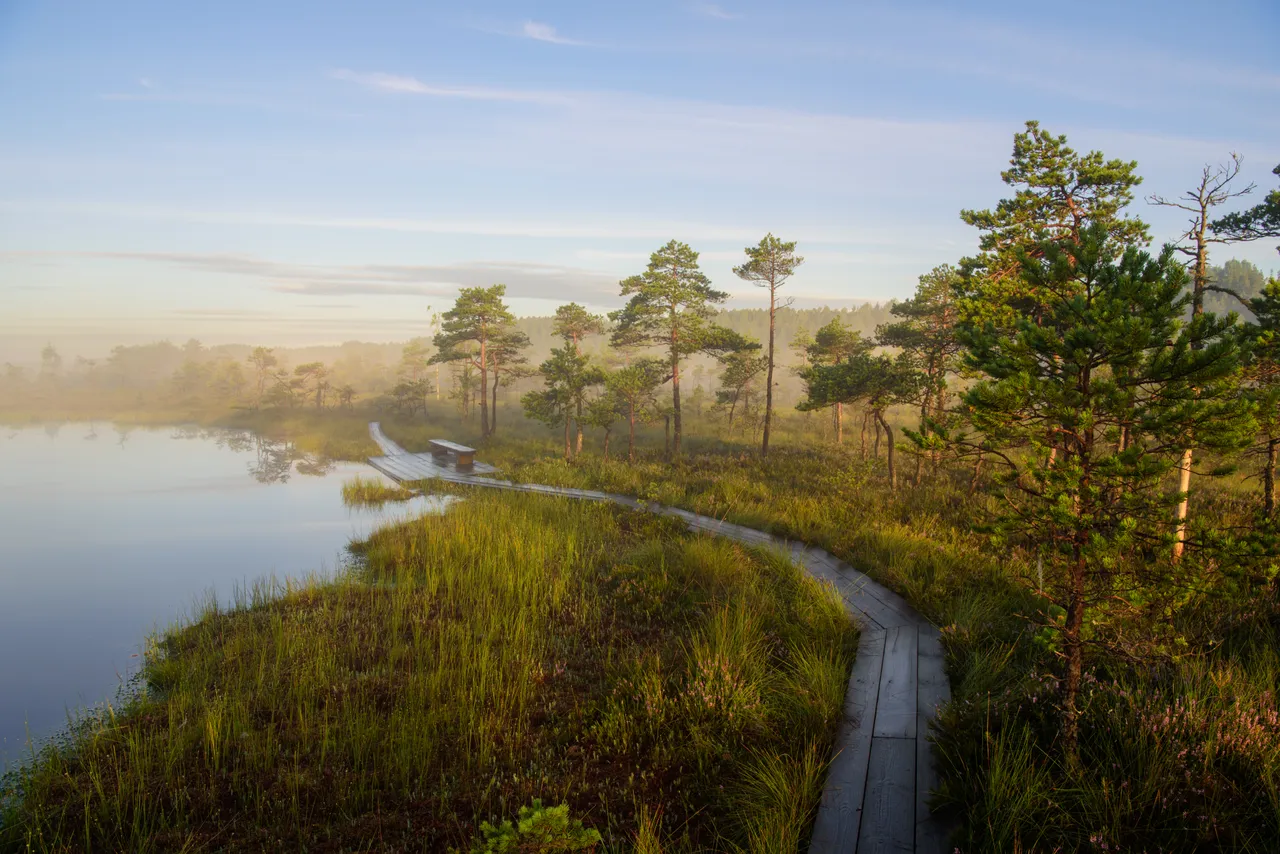 Soomaa National park morning