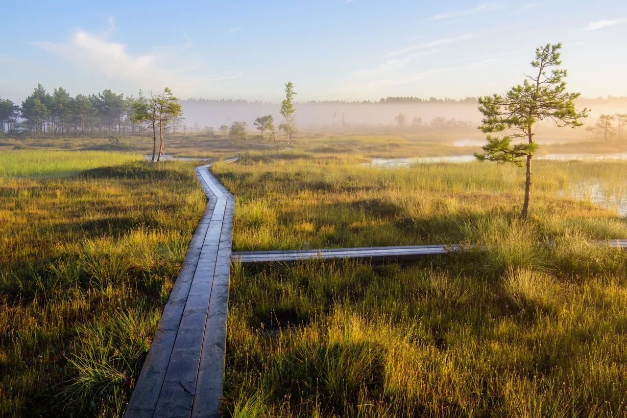 Soomaa National park route