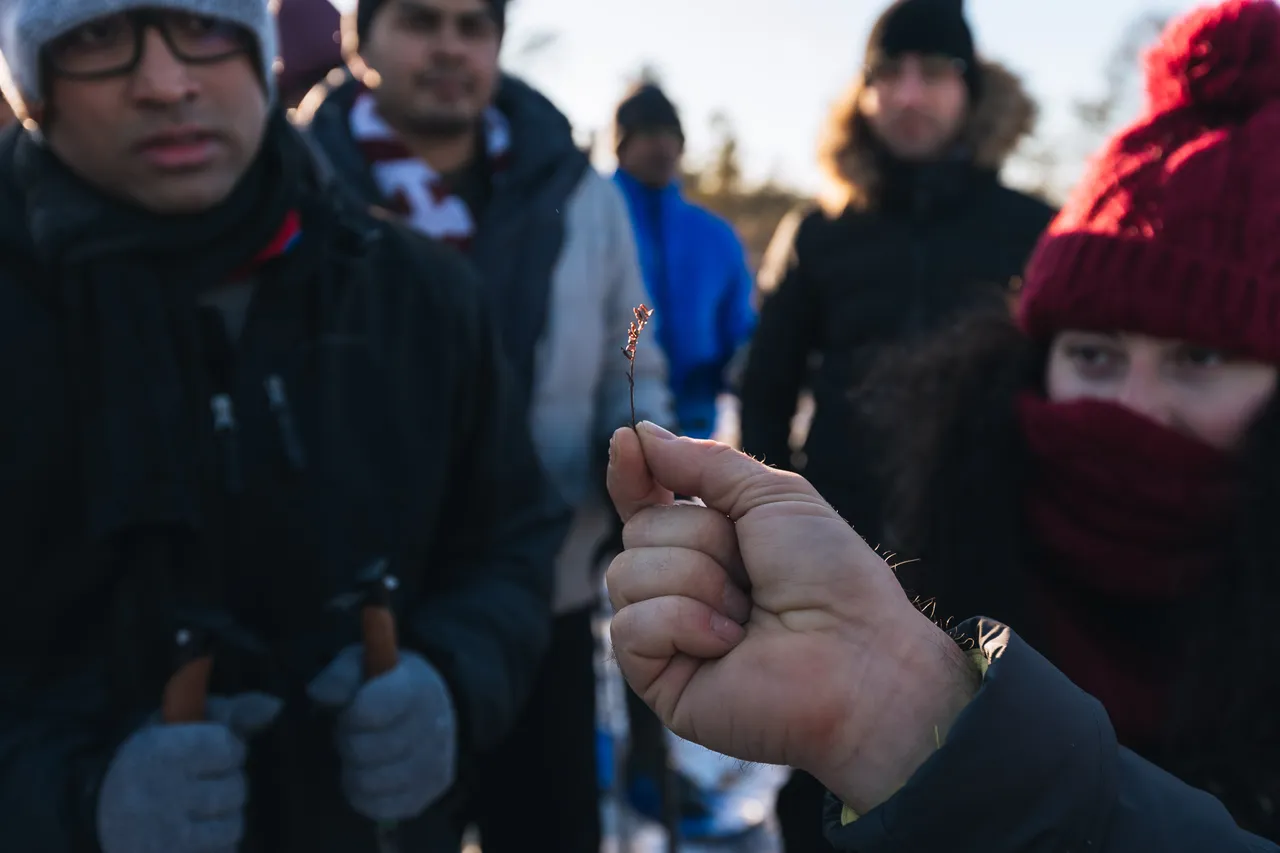 Learning about nature