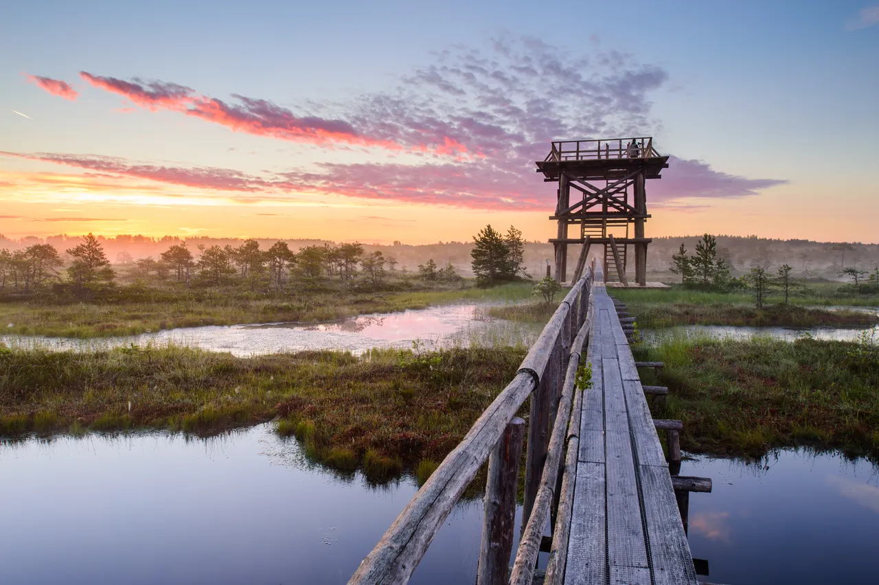 Magical bog road and sunset
