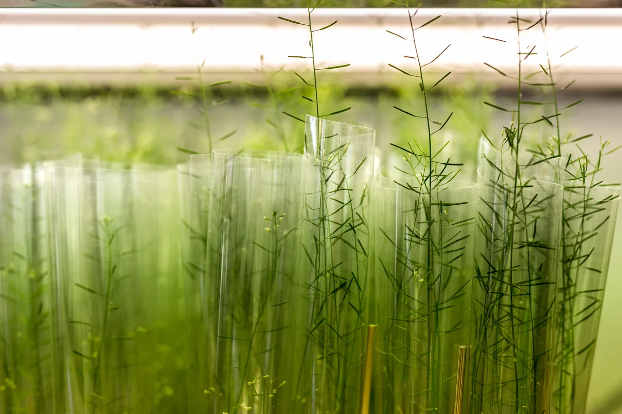 Laboratory at Univesity of Tartu Institute of Technology