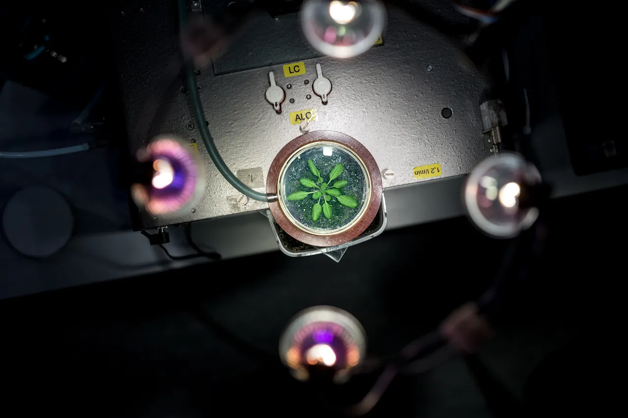 Laboratory at Univesity of Tartu Institute of Technology