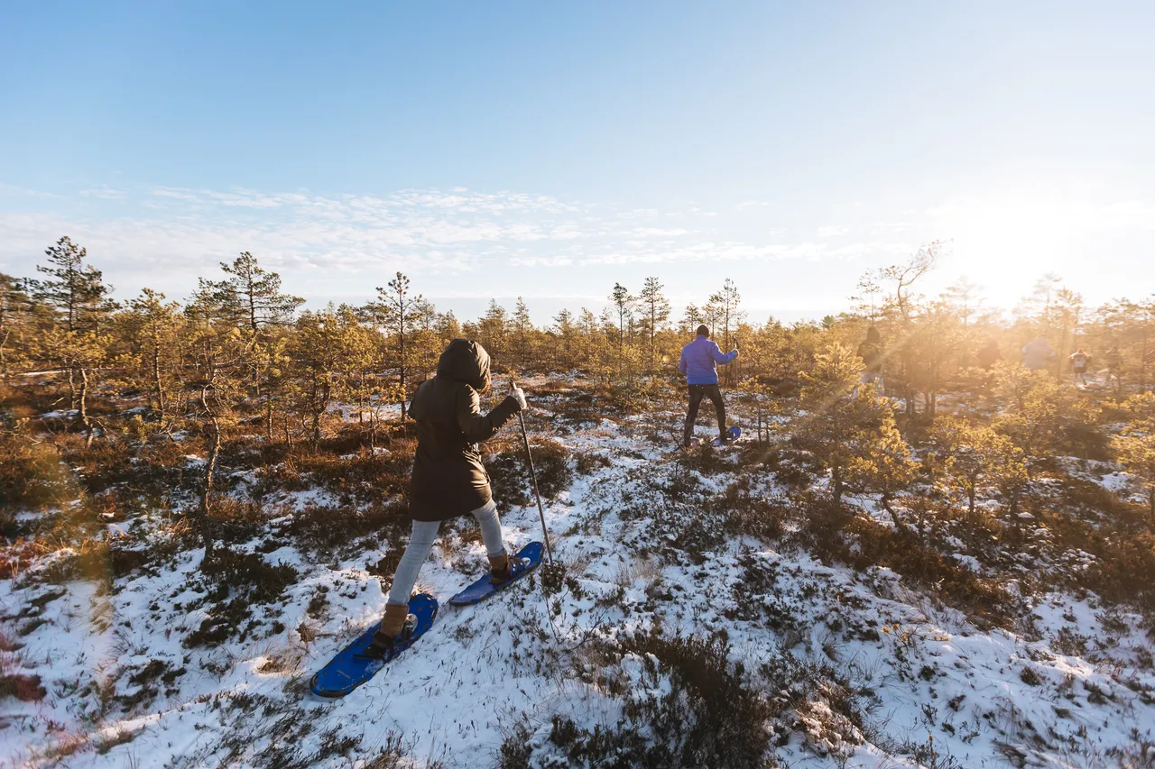 Group of people going hiking in bog