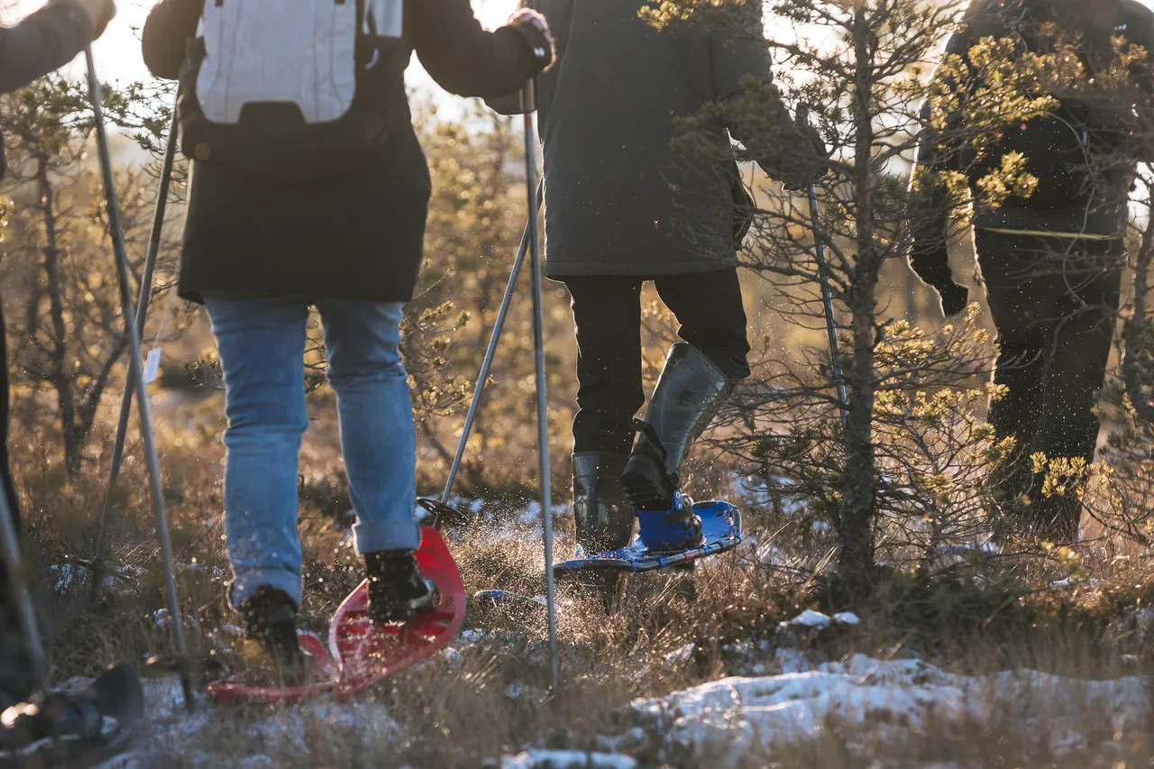 Group of people going hiking in bog