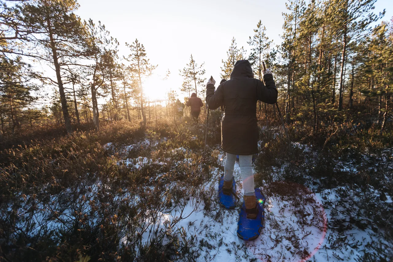 Group of people going hiking in bog