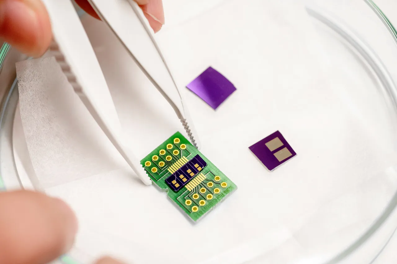 Graphene sensor