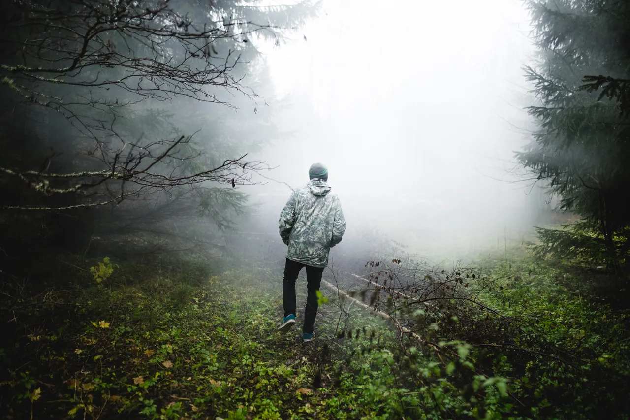 Forest Fog and Man