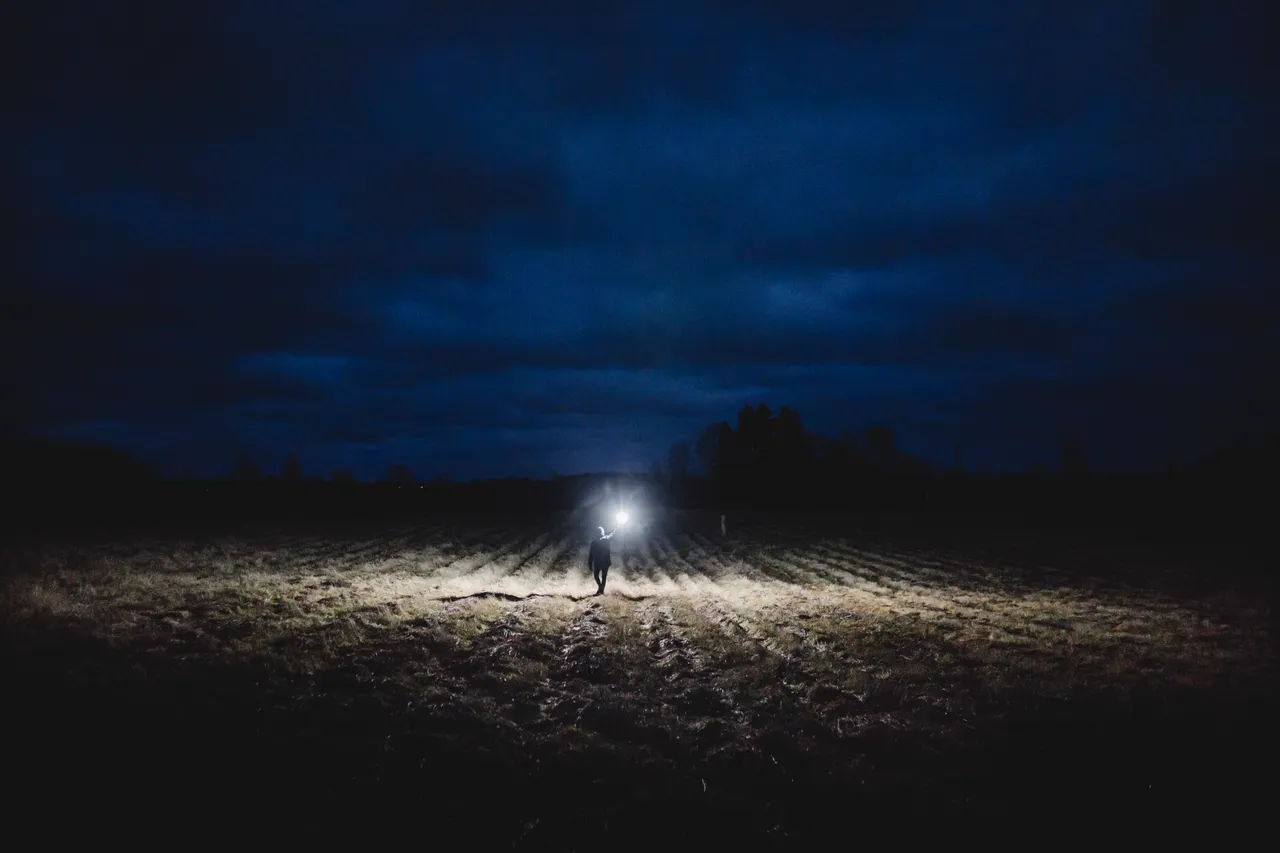 Field and Flashlight