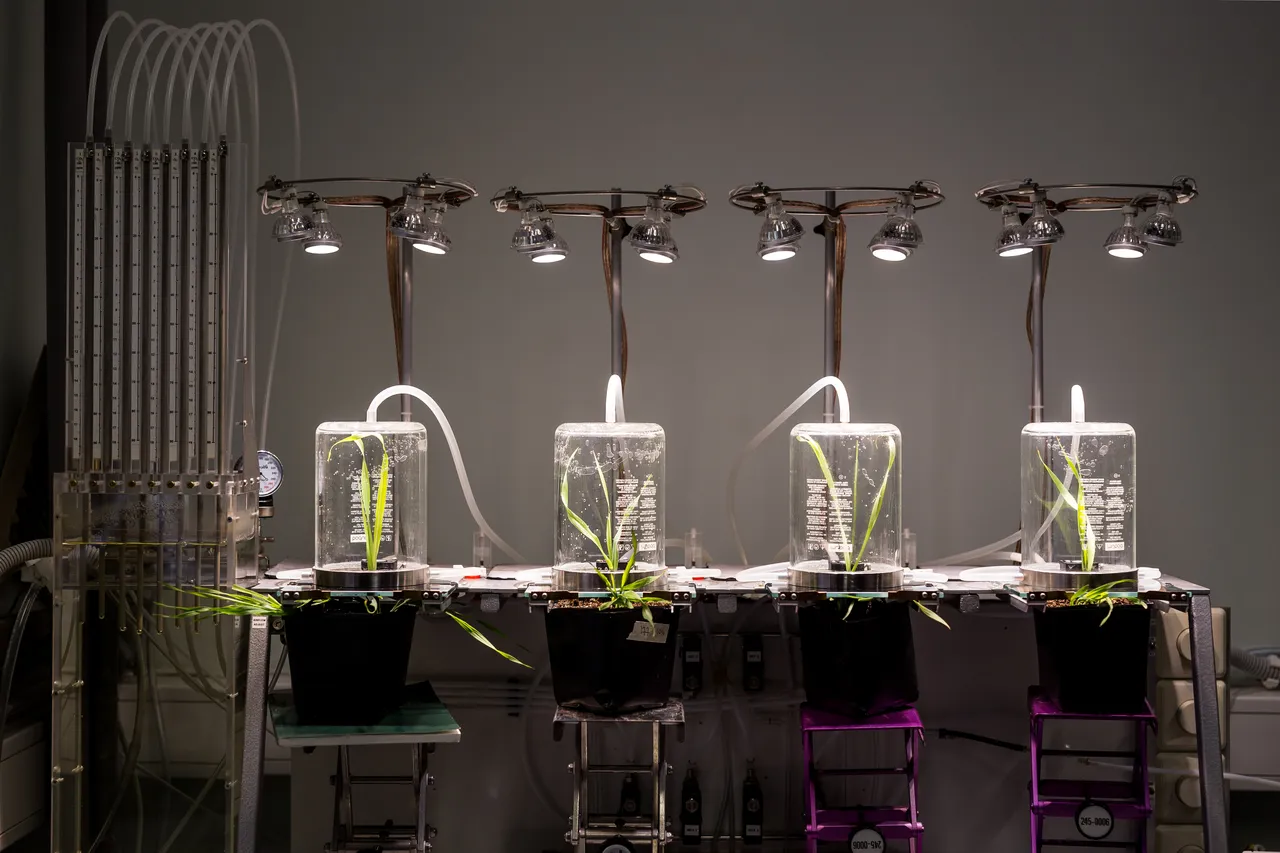 Laboratory at Univesity of Tartu Institute of Technology