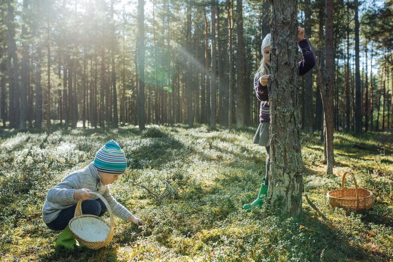 Kids in Nature picking berries