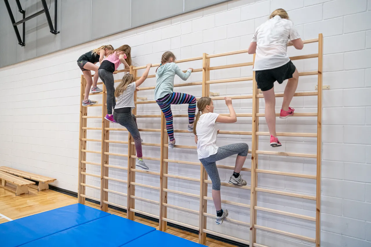 Kids climbing gym ladder