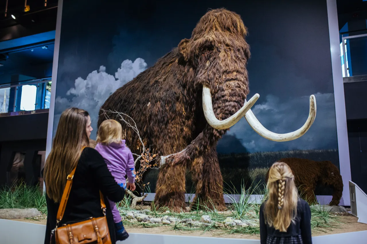 Ice Age Museum mammoth