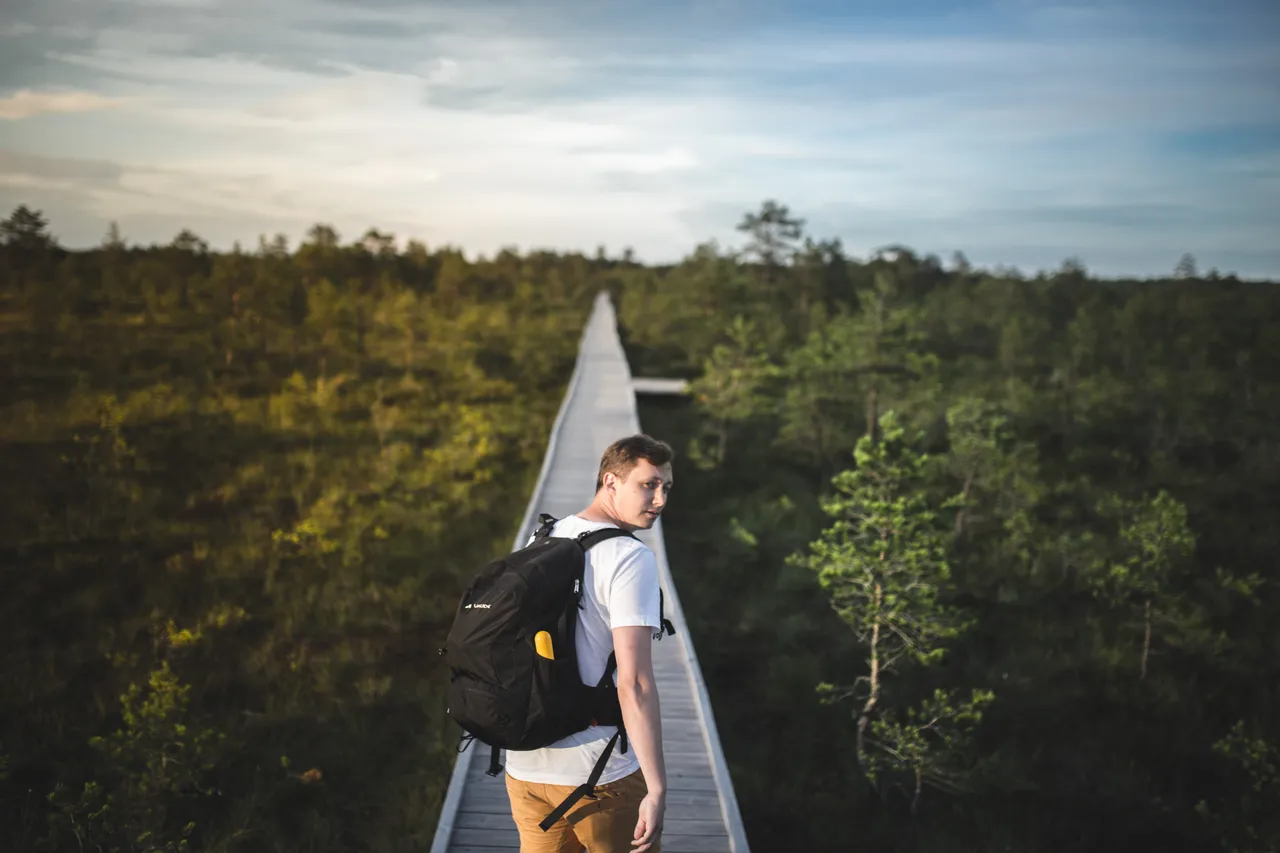 Hiking in Bog