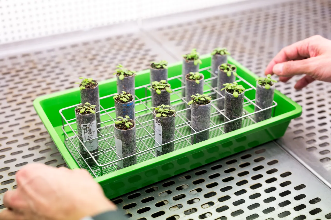 Laboratory at Univesity of Tartu Institute of Technology