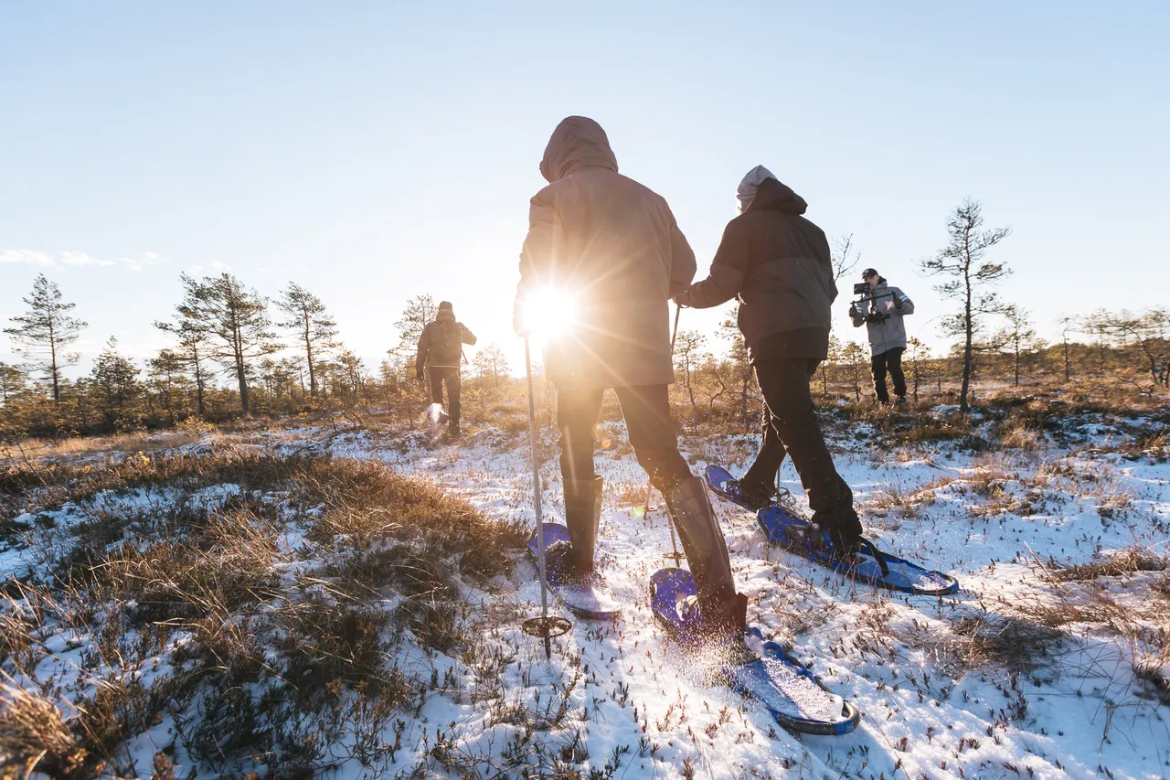 Group of people going hiking in bog