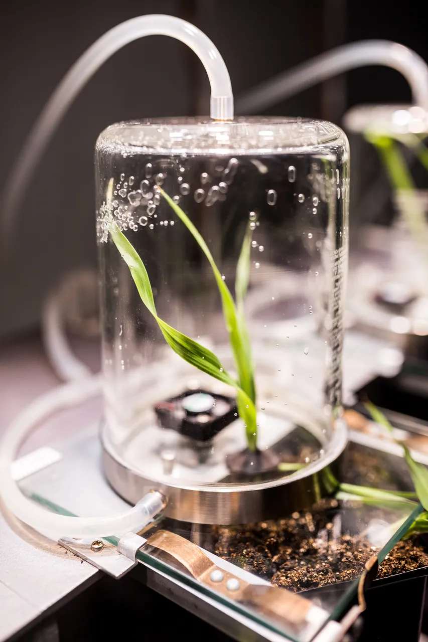 Laboratory at Univesity of Tartu Institute of Technology