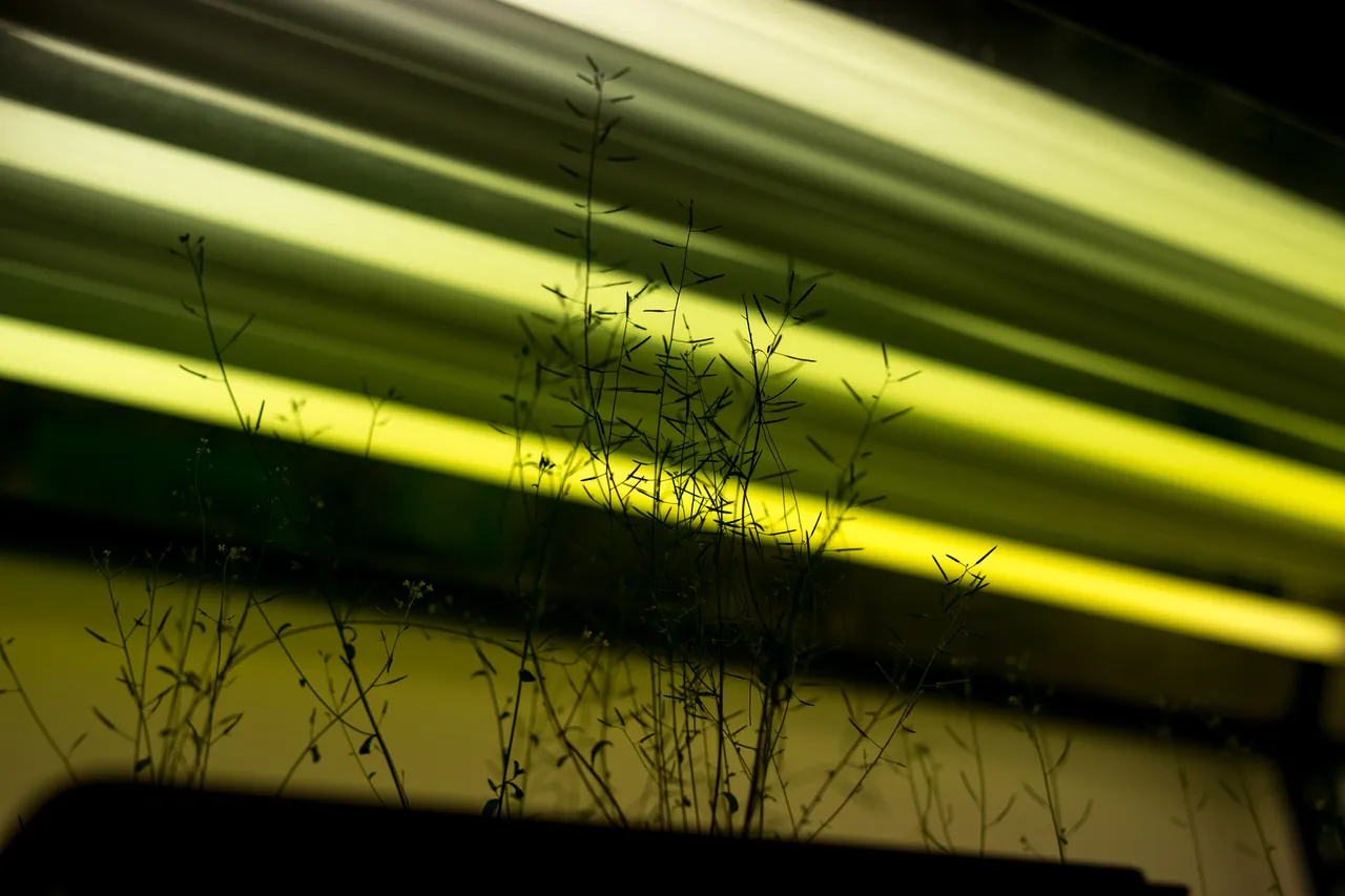 Laboratory at Univesity of Tartu Institute of Technology