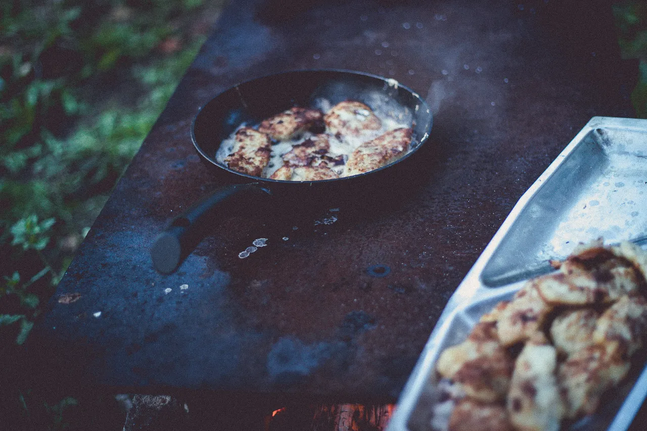 Cooking Fish on the Fire