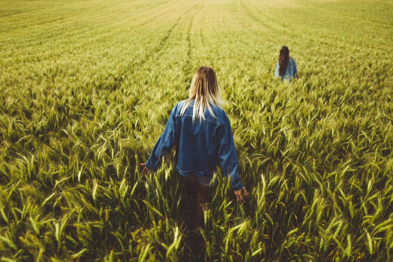 Girls Walking Through a Rye Field