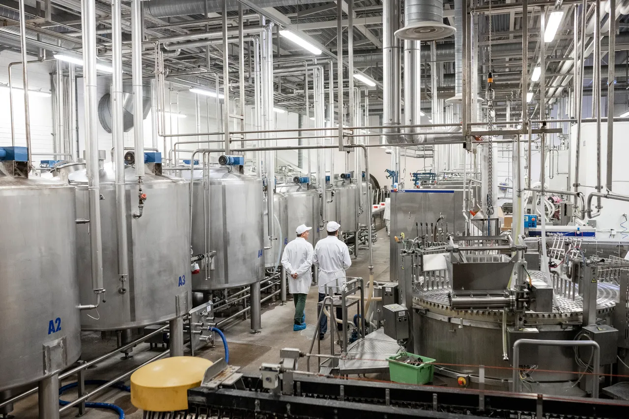 Dairy industry inside view