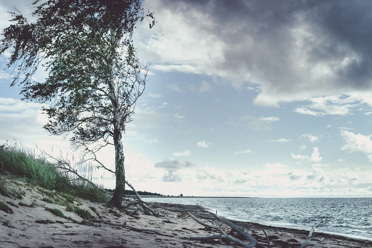Empty Beach in Saaremaa