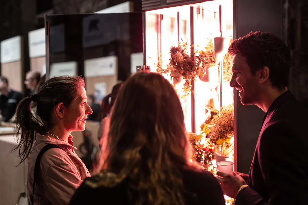 Demonstration of kitchen garden