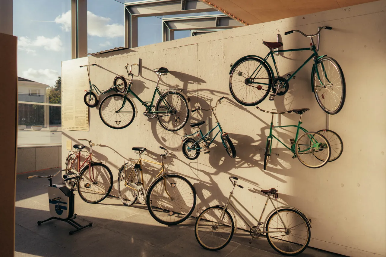 Collection of bikes