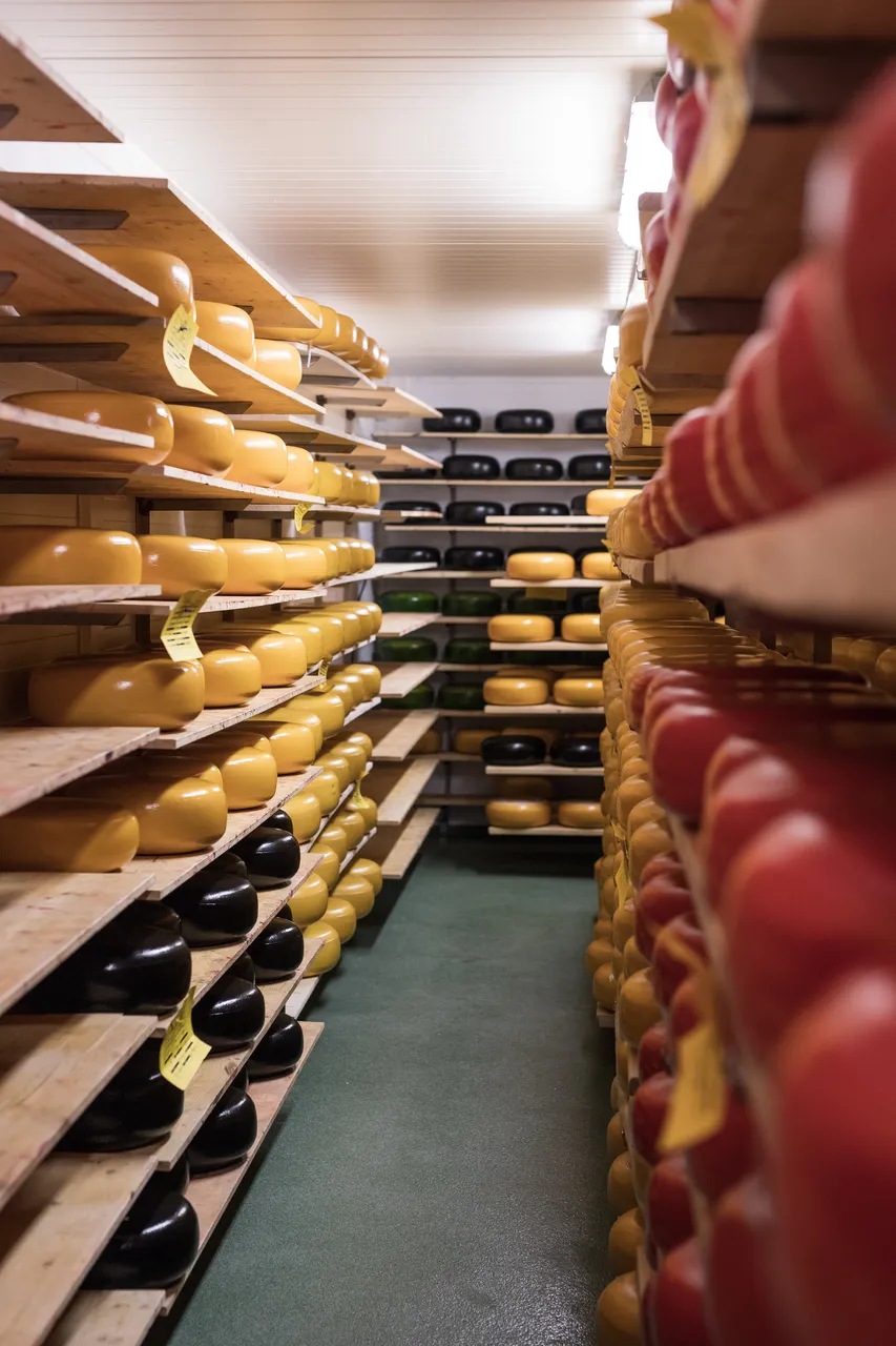 Cheesefarm cheeses