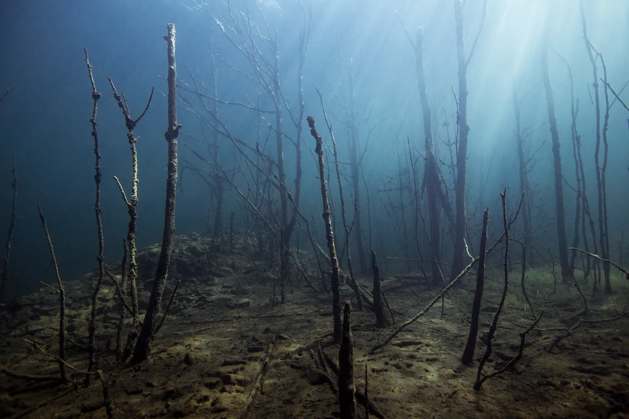 Diving in Rummu quarry