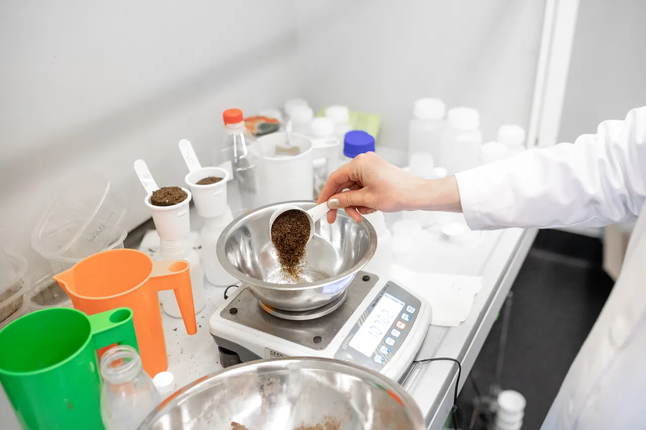 Development of biodegradable composite plant cultivation substrates