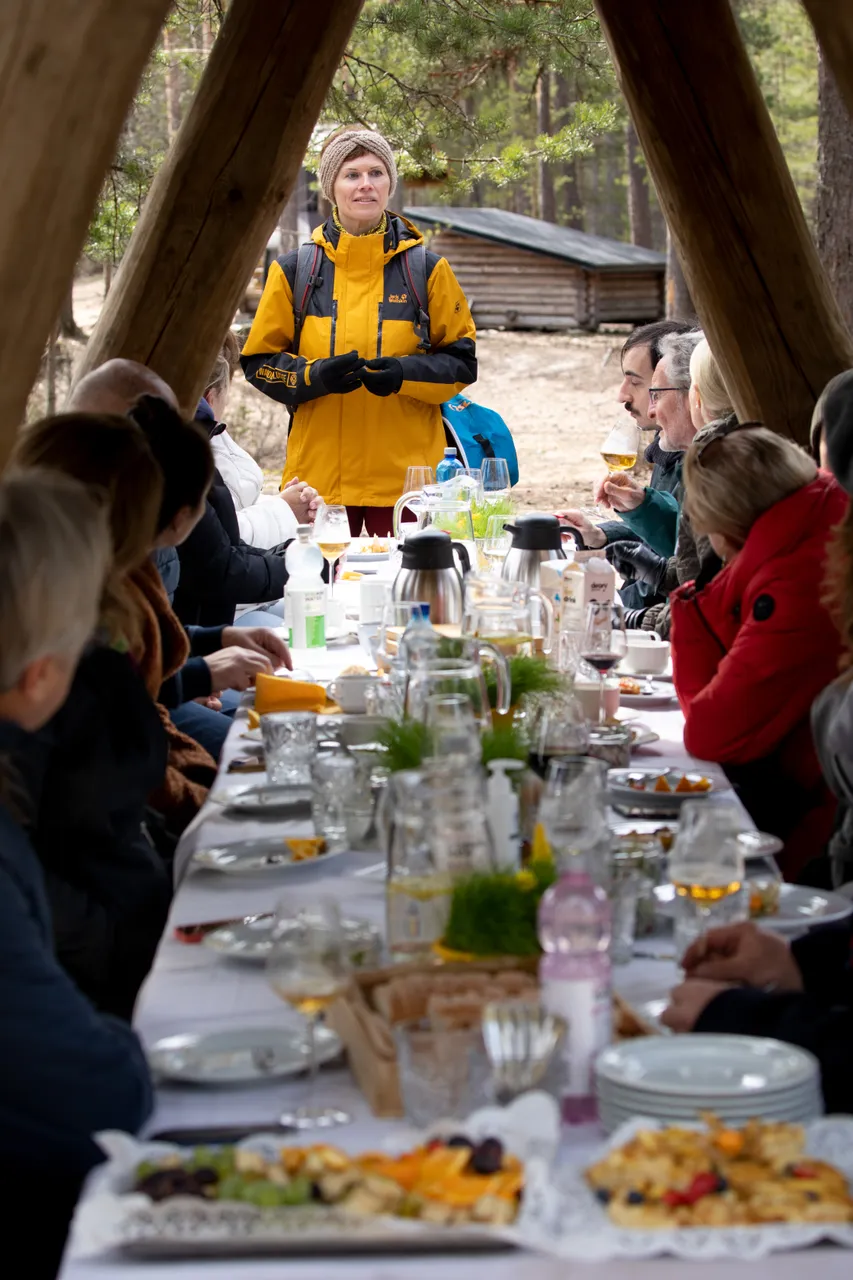 Picnic in the forest
