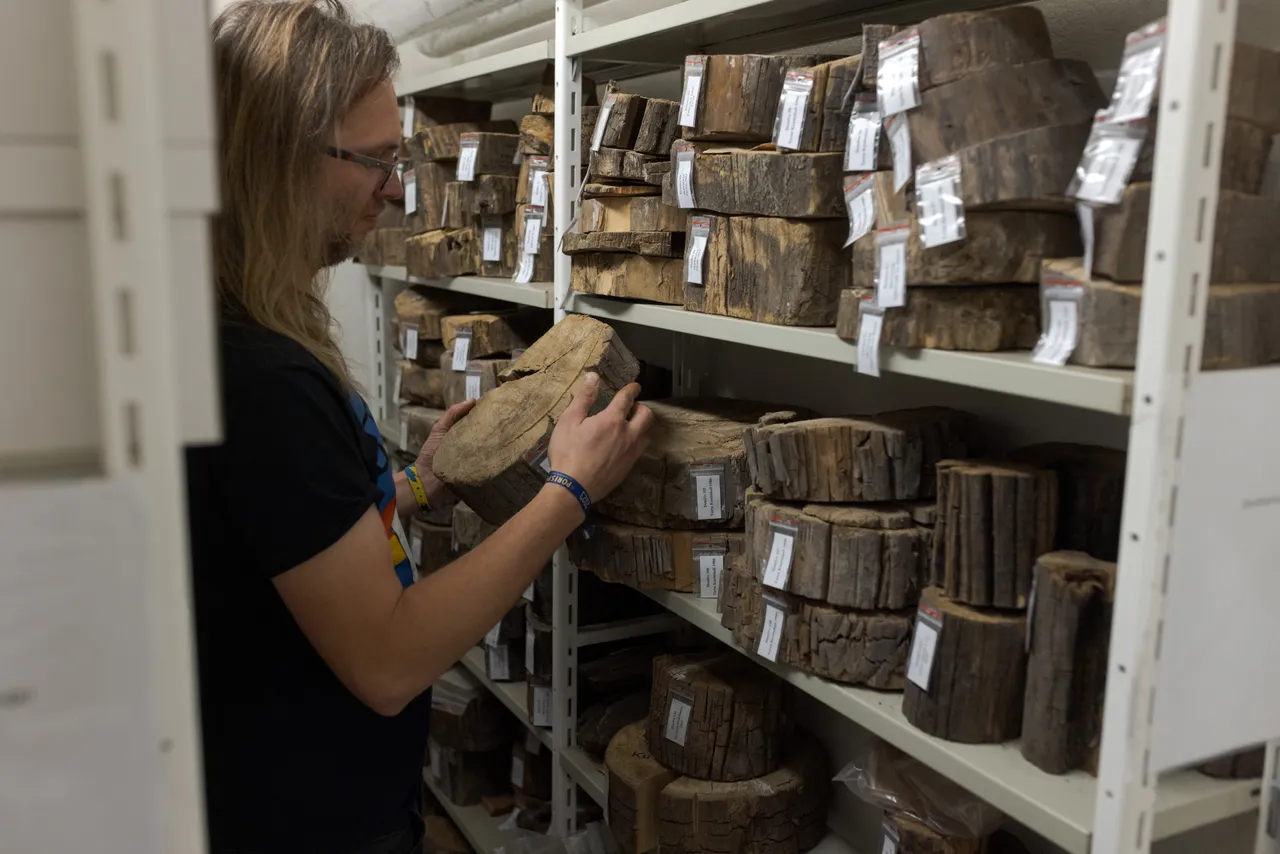 Researcher at the Institute of History and Archaeology