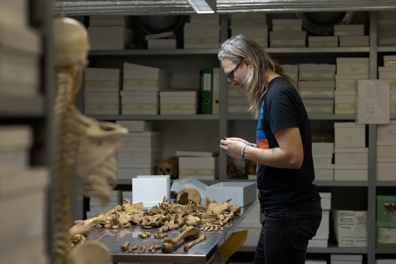 Research specialist analyzing bones