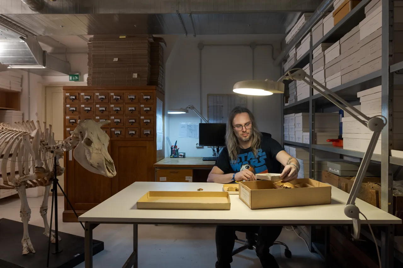 Research specialist analyzing bones