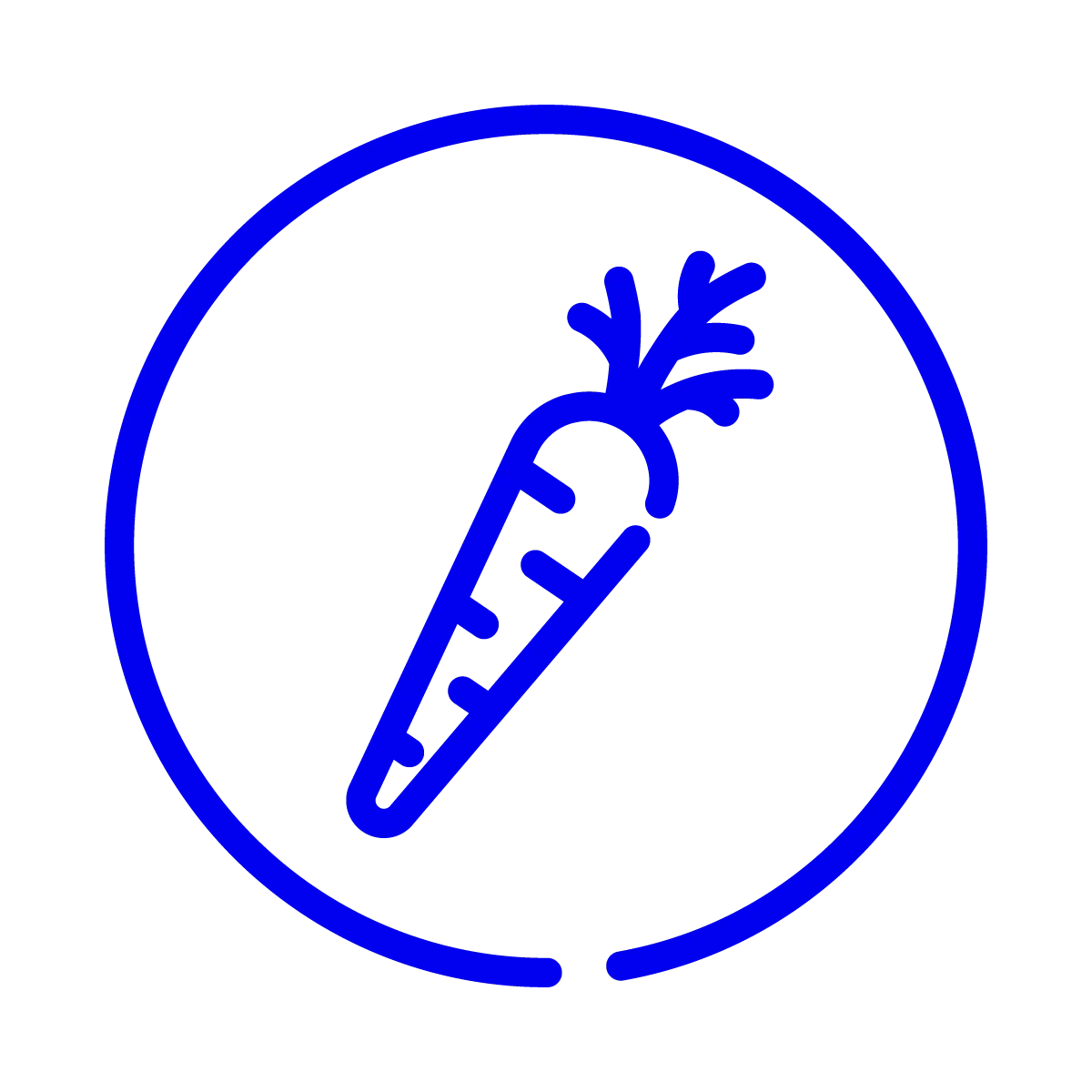 Carrot icon