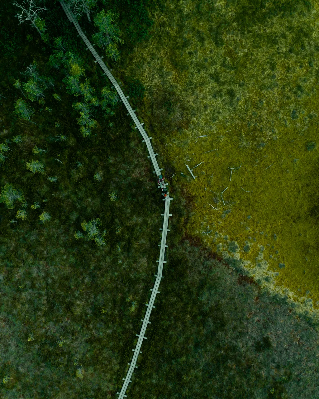 Majakivi-Pikanõmme study trail