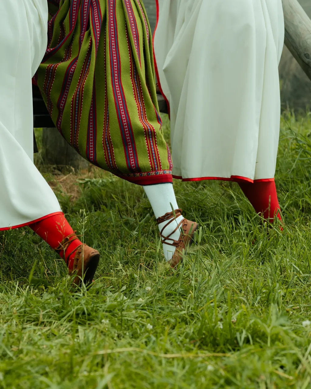Women in national costumes