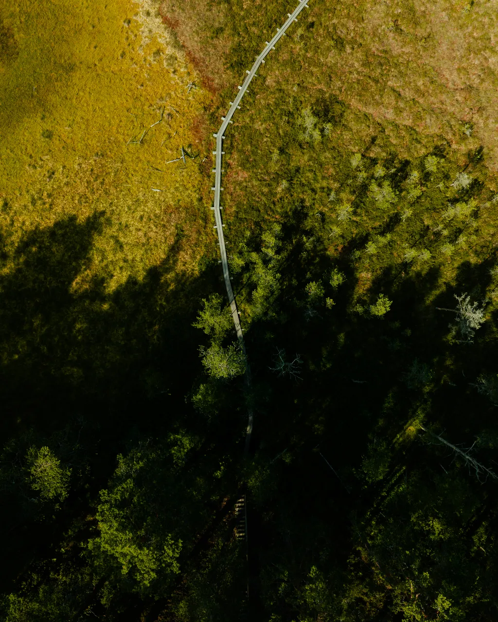 Majakivi-Pikanõmme study trail