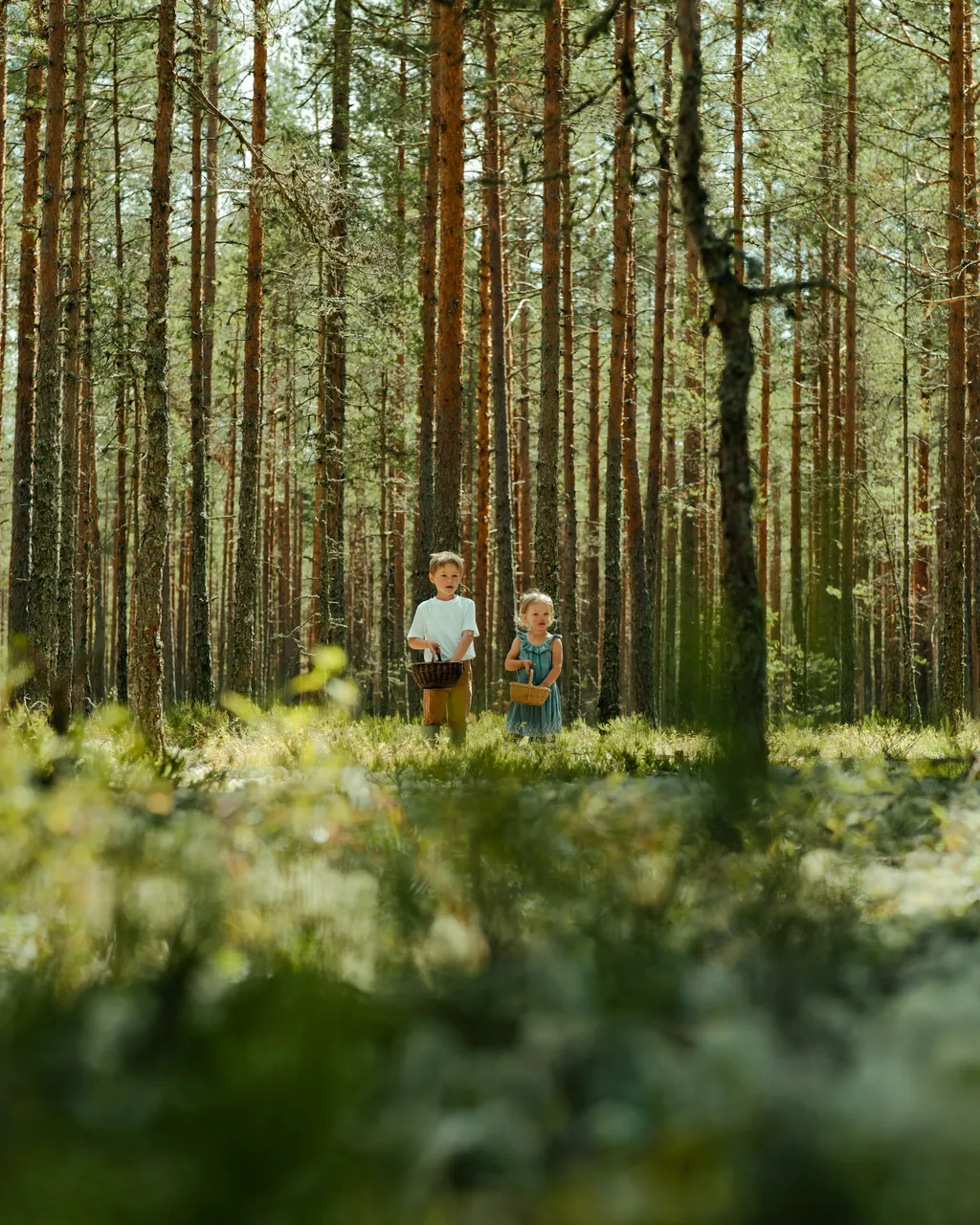 Kids picking blueberries