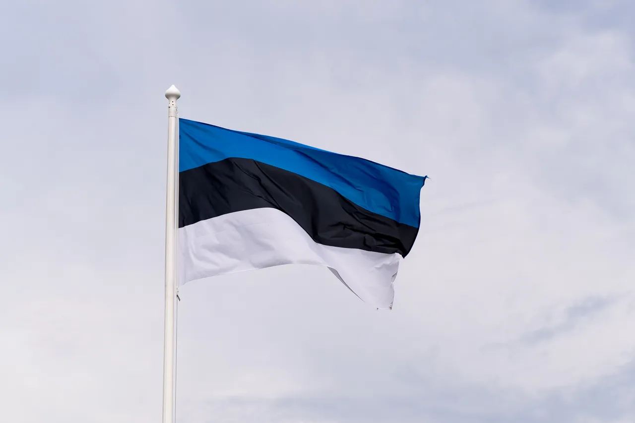 Estonian flag
