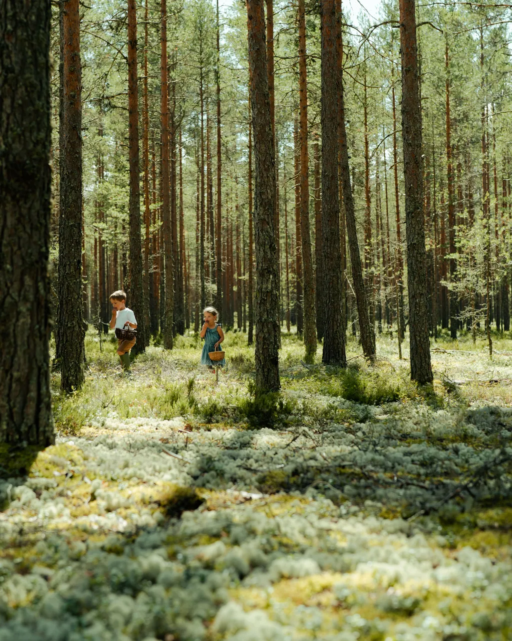 Kids picking blueberries